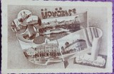 Carte postala, imagini din Satu Mare, perioada interbelica