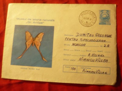 Plic ilustrat Muzeul Antipa cod 289/74 Fluture foto