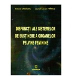 Eduard Crauciuc, Laurian Lucian Francu - Disfunctii ale sistemelor
