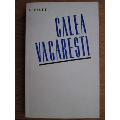 Isac Peltz - Calea Vacaresti