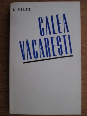 Isac Peltz - Calea Vacaresti foto