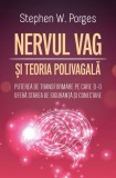 Nervul Vag si Teoria Polivagala, Herald