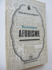 Aforisme - Montaigne foto