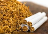 Tutun firicel Pall Mall aroma de buna calitate 1 kg= 160 lei transport gratuit-tutun aromat Pall Mall