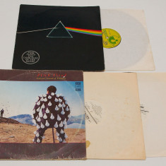 Pink Floyd - Dark Side Of The Moon / Delicate Sound Of Thunder - discuri vinil