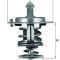 MAHLE TX 71 82D termostat,lichid racire