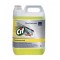 Degresant Puternic Concentrat Cif Professional, 5 L