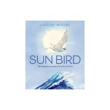 Sun Bird: The Amazing Journey of the Arctic Tern