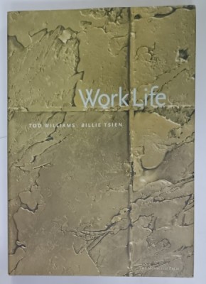 WORK LIFE , TOD WILLIAMS and BILLIE TSIEN , edited by HADLEY ARNOLD , ALBUM DE ARHITECTURA foto