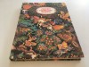 Povesti Fermecate Rusesti, Raduga Moscova 1990, Ilustratii N. Kocerghin, Coperti Carton, Format Mare, Traducere Nina Gafita