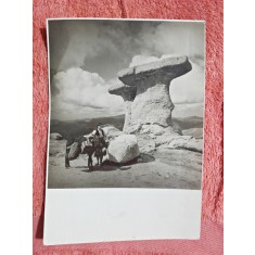 Fotografie, tanara cu magarusul la Babele, perioada interbelica
