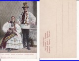 Transilvania -tipuri, sasi- clasica, rara