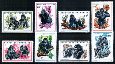 Ruanda Rwanda 1970, Mi #400-407 A**, fauna, gorile, MNH, cota 11 &amp;euro;! foto