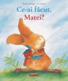 Cumpara ieftin Ce ai facut, Matei?/Brigitte Weninger, Eve Tharlet