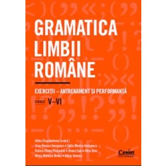 Gramatica limbii romane. Exercitii clasele V-VI. antrenament si performanta, Adina Dragomirescu,Irina Georgescu,Delia Georgescu,Raluca Raducanu,Ileana