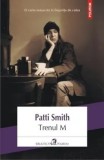 Cumpara ieftin Trenul M/Patti Smith