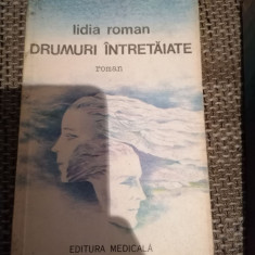 LIDIA ROMAN - DRUMURI INTRETAIATE