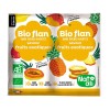 Budinca Bio Fructe Exotice Nat-Ali, 2x4g: Desert Rapid, Vegan, Fara Gluten, Fara Zahar, Ingrediente Naturale, 4 Portii