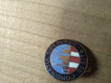 Industrie (1) Insigna Resita