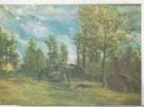bnk cp Constanta - Muzeul de arta - Andreescu - Stanci in padure - necirculata