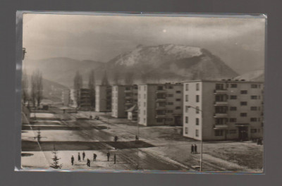 CPIB 20600 CARTE POSTALA - POIANA BRASOV, CARTIERUL &amp;quot;STEAGUL ROSU&amp;quot; foto