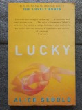Alice Sebold - Lucky