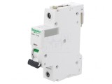 &Icirc;ntrerupător Supracurent 230V 10A 1P D