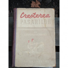 CRESTEREA PASARILOR - E.E. PENIONJCHEVICI foto