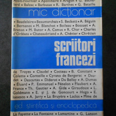 ANGELA ION - SCRIITORI FRANCEZI (1978, Ed. cartonata)