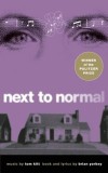 Next to Normal - Carte de Brian Yorkey, Muzical Premiat Pulitzer &amp; Tony Awards