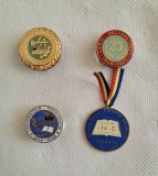 Lot de patru insigne romanesti cu tematica scolara