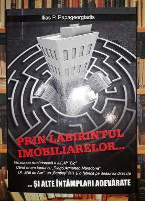 Ilias P. Papageorgiadis&amp;nbsp;-&amp;nbsp;Prin labirintul imobiliarelor foto