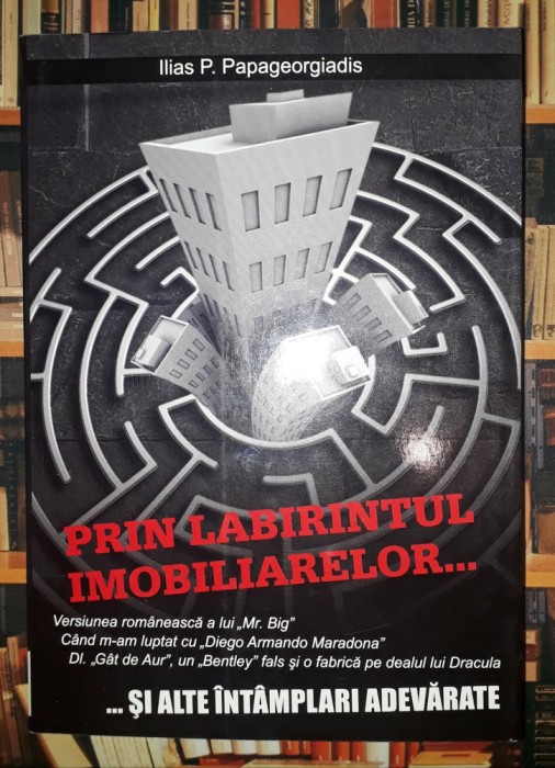 Ilias P. Papageorgiadis&nbsp;-&nbsp;Prin labirintul imobiliarelor