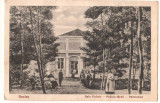 SV * BAILE BUZIAS * BAIA PHOENIX * anii 1910 - 1920, Circulata, Fotografie, Printata