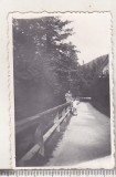 bnk foto Sinaia - 1937