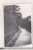 Bnk foto Sinaia - 1937, Alb-Negru, Romania 1900 - 1950, Natura