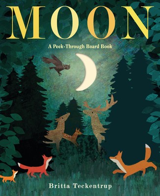 Moon: A Peek-Through Board Book foto