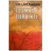 Ion Lancranjan - Toamna fierbinte - roman - 116965