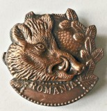 INSIGNA AGVPS CAP DE MISTRET SPRE DREAPTA CL A 3 A VANATOARE PESCUIT AJVPS AVPS, Romania de la 1950