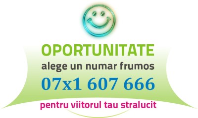 Numar Frumos SIMPLU - 07x1.607.666 - aur gold usor special vip numere frumoase cartela foto
