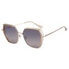 Ochelari de Soare Polarizati - Techsuit (9768) - Chanpagne / Gray