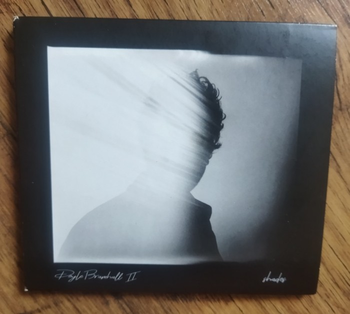 CD Doyle Bramhall II &ndash; Shades