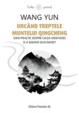Urcand treptele muntelui Qingcheng. Ghid practic despre calea meditatiei si a qigong-ului daoist/Wang Yun, Paralela 45