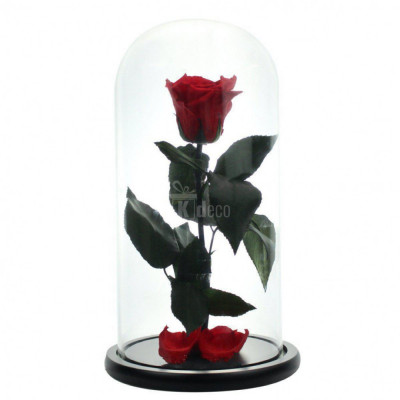 Trandafir Criogenat XL rosu &amp;Oslash;6,5cm, cupola sticla 12x25cm foto