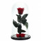Trandafir Criogenat XL rosu &Oslash;6,5cm, cupola sticla 12x25cm