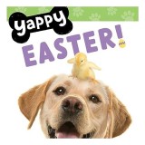 Yappy Easter!