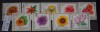 TS23 - Timbre serie Polonia - 1966 Flora -flori, Stampilat