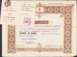 S129 Invatator fruntas 1966 insigna + legitimatie + diploma