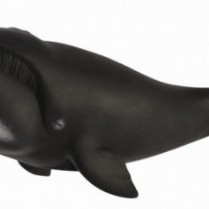 Balena Bowhead XL - Animal figurina