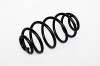 Arc Suspensie Spate 151192 73796